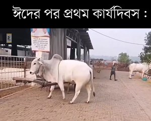 Corporates are back in business.🙂 | Career Path