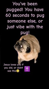 #pug hey guys, sorry.I haven't been posting a lot.I had a four hour conditioning dance class 😊