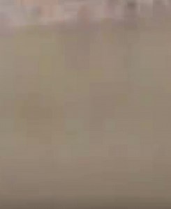 5K views · 61 reactions | Massive invasive python spotted on Platte River A few tourists floating the river spotted a massive python on the shore of the river just moments ago, authorities have been contacted and anyone who sees the snake, please do not approach it. | Casper Planet | Facebook