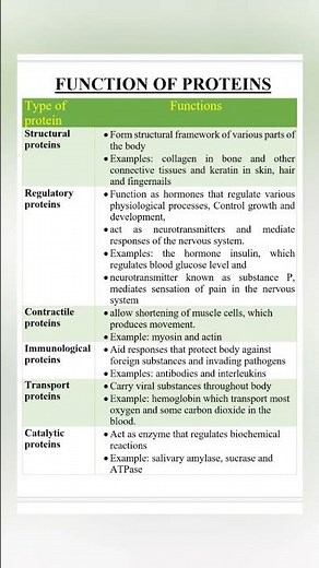 #function of different types of proteins