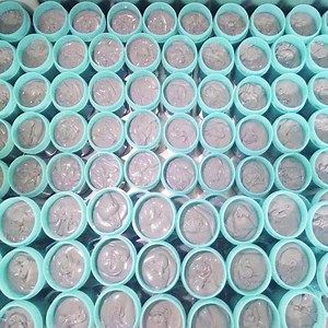 [Hot Item] Enhanced Wettability Stability Multi Use Flux Lead-Free Solder Paste