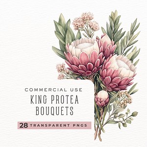 King Protea Watercolor Clipart, Flower Clipart, Instant Download, Protea Flower Png Wedding Invitation Clipart DDC0014 - Etsy