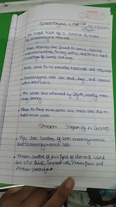 Sclerenchyma \rightarrow dead cell.Dicier 6 sinkerThe hard hu... | Filo