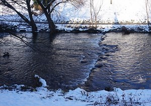 Do you know what Contrastive Syntax is and how it can help you? — Ana Lis Salotti Translations