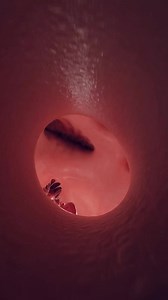 5.1K views · 34 reactions | visualization of the left atrium, ventricle, and the crucial mitral valve. Discover the intricate workings of these key cardiac chambers and how the mitral valve orchestrates the flow of life. Ideal for cardiologists, medical educators, and students, our detailed models provide an unparalleled view into cardiac function #medical #heart #foryou #medicaldevice | T.Medical.V | Facebook