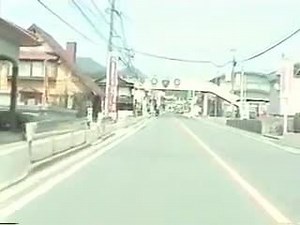 Real Japanese Adultery