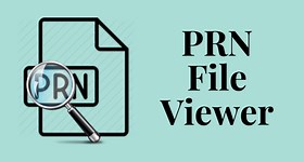 Prn File Viewer