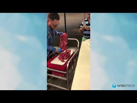 Grasselli KSL Horizontal Slicer Demo -Slice Machine for Meat