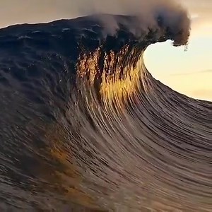 Incredible Nature | Incredible Nature