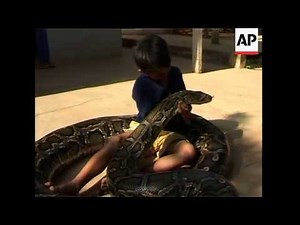 Cambodia - 7-Year-Old Boy Has 4.8m Long Pet Python He Sleeps Curled Up With