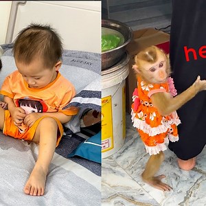 Kaka called her mother to help Diem pee on the bed | A Bi Monkey