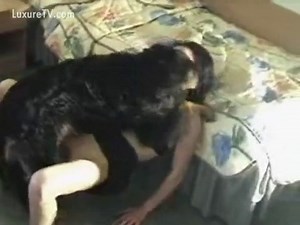 Huge dog goes on top of woman and fucks her in bestiality porn