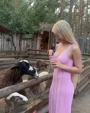 beautiful animal lover lesi mooniee | lesi mooniee beautiful animal lover