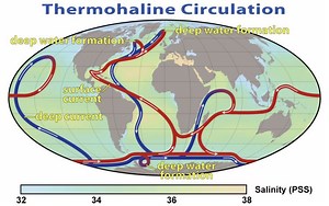 Thermohaline circulation - Alchetron, the free social encyclopedia