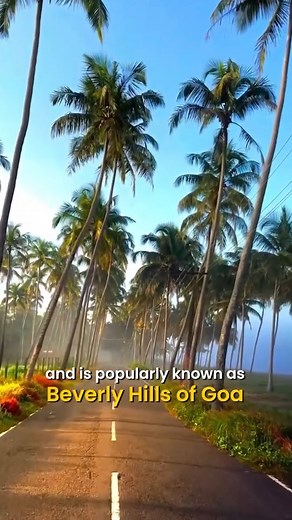 26K views · 1.6K reactions | Where every café feels like a hug 珞 and every lane feels like a postcard✨️ Credits-(@travelwith_pm ) [ Assagao Goa, Assagao cafes, Best cafes in Assagao, Assagao restaurants, Assagao travel guide, Things to do in Assagao, Assagao village Goa, Assagao Instagram spots, Assagao Goa tourism ] | Whats Hot Goa | Facebook