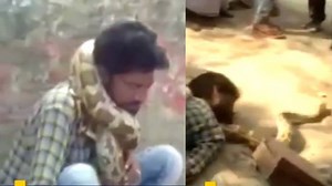 On cam: Python attacks snake charmer in UP’s Mau | The Times of India