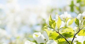 BTS「So What」歌詞の意味と作詞作曲＆収録アルバム【思いきりやろう】