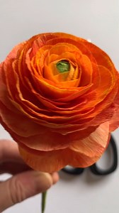 1.6K views · 18 reactions | Absolutely adoring this crepe paper ranunculus flower by the talented Petal & Bird, each petal lovingly touched with watercolour for that ultra-realistic look!  #crepepaperflowers #handmadeflowers #ranunculus #watercolours #watercolourart #papercraft #paperflowers | Go Craft | Facebook