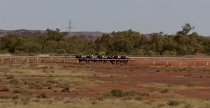 Race 2 Roebourne 27/07 THE MEALES CONCRETE PUMPING HARDING CUP 1406m won by Wise Words🏇🏇Congratulations to the owners, trainer Ray Malpass and jockey Chris Nicoll🥰🥰Thanks to the sponsors for supporting the Nor-West Jockey Club. | Country Racing Association Western Australia