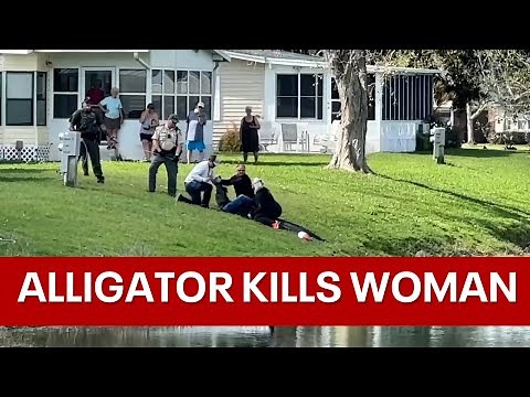 Massive alligator kills woman walking her dog next to pond