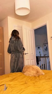 2.7M views · 42K reactions | How to get you husband in bed Pt2 #friendlyᥫᩣシ #highlightseveryone #everyonefollowers #everyonehighlightsfollowers #fypシ゚viralシfypシ゚ #fypシviralシ2024 #viralpost2024シ #mastermorefire #reelstrending #funnymoments #prankgonewrong #funnyreels #prankvideo #fridayvibes #ThursdayThoughts #thursdayvibes | Master More Fire | Facebook