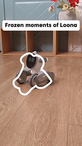 LOONA, a pet companion robot integrated with ChatGPT-4o, offers you a unique experience. Get 25 Off and Join us now to explore and discover more together 🚀 Click here:https://bit.ly/3A5pqqJ | KEYi TECH