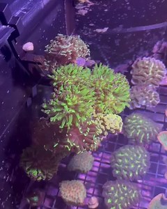 1K views · 12 reactions | Check out this 3D printed fully...