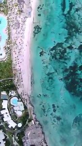 A special guest took a swim to visit Club Med Punta Cana. 🐢 Discover the preserved wildlife and tranquil landscape during our nature getaway excursions. https://bit.ly/3uZJIuL 📷: https://bit.ly/3tS6zHg | Club Med