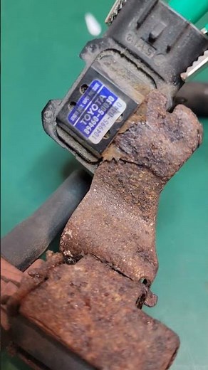 Fix and Repair Lexus Toyota Evap P0440 solenoids sensors pass emissions check engine light