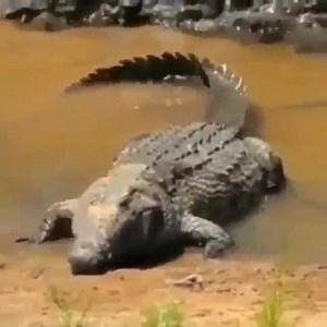 🙄🤔 | Nature Discovery