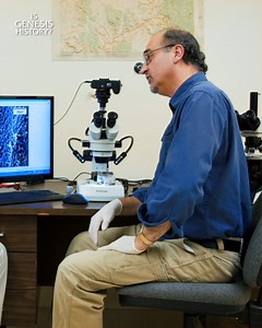 Are Beneficial Mutations Proof of Evolution? Dr. Kevin Anderson discusses mutations and whether or not they can be considered as evidence of macroevolution. Check out our full library of resources on isgensishistory.com | Is Genesis History