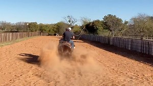 Do you have a horse that can stop like this?⤵️ ✅What if I could help you make one?! ➡️ Training videos in the subscriptions | Rodeo Gym