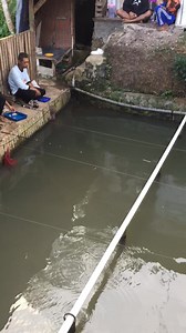 Double sterek baraya , mantap 🎣🎣 #mancing #waimanfishing | Waiman Fishing