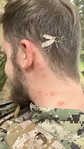 NOVRITSCH on Reels | Facebook