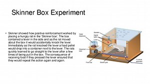 Behaviourist approach