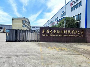 [Hot Item] Raw Material Titanium Dioxide Anatase for Paint, Coating TiO2