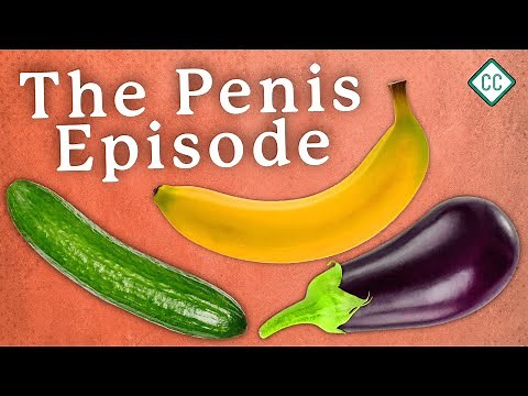 The Penis Explained: Sex Ed #3