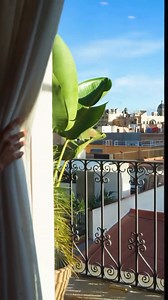 ✨ Reward Night Goals ✨ Explore all the best of sun-drenched Barcelona from Kimpton Vividora Hotel. The location in the Gothic Quarter is within walking distance of attractions like the famed Las Ramblas pedestrian street, the Barcelona Cathedral, and Barceloneta Beach. 🏖️ You'll always feel a sense of place with bespoke bath products from local makers, in-house cultural activities featuring neighborhood artists and musicians, and a daily merienda-inspired social hour with local wines and vermou