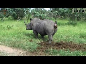 The poop song￼ !!!!!!!! (Hilarious)