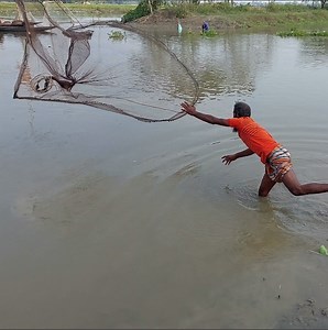 28K views · 382 reactions | Left Hand Man Hunting Fish by Throw Net | Fishing & Village Tradition | Facebook