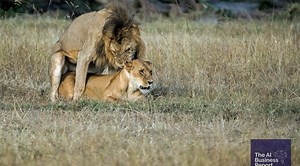 AI Is Self-Replicating (And Not for The First Time)