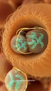 66K views · 1.1K reactions | Scientists have reported a major...