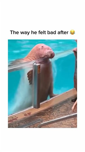 Instant regret 😂😂😂2 | MDR Production