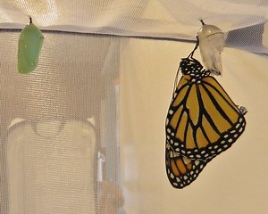 Environmental Education Center Programs