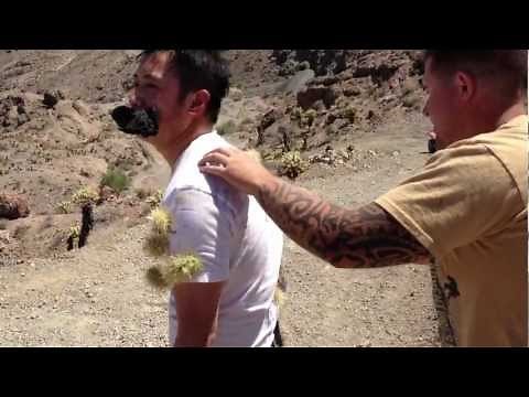 Cholla Cactus Attack