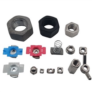 [Hot Item] Stainless Steel Stock Hexagon Hex Flange Cap Spring Square T Nylon Nut