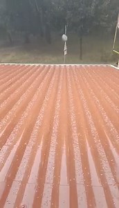 Regional Express on Reels