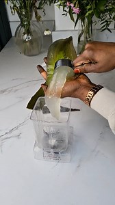 520K views · 1.4K reactions | Today, we’re making homemade Aloe Vera...