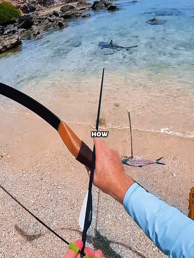 Bow Fishing Techniques for Survival Enthusiasts