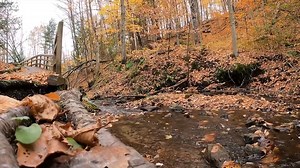 How they traveled across the country on a tight YouTube budget